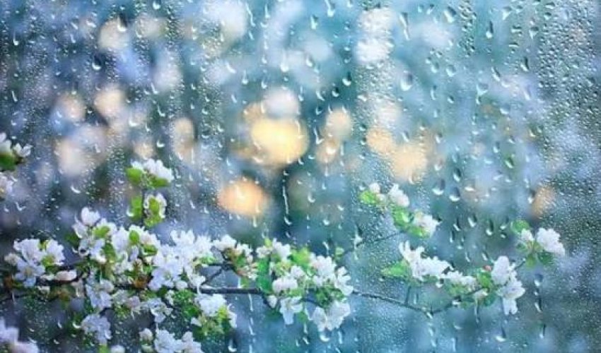 Первая декада апреля в Азербайджане пройдет с дождями, грозами и градом
