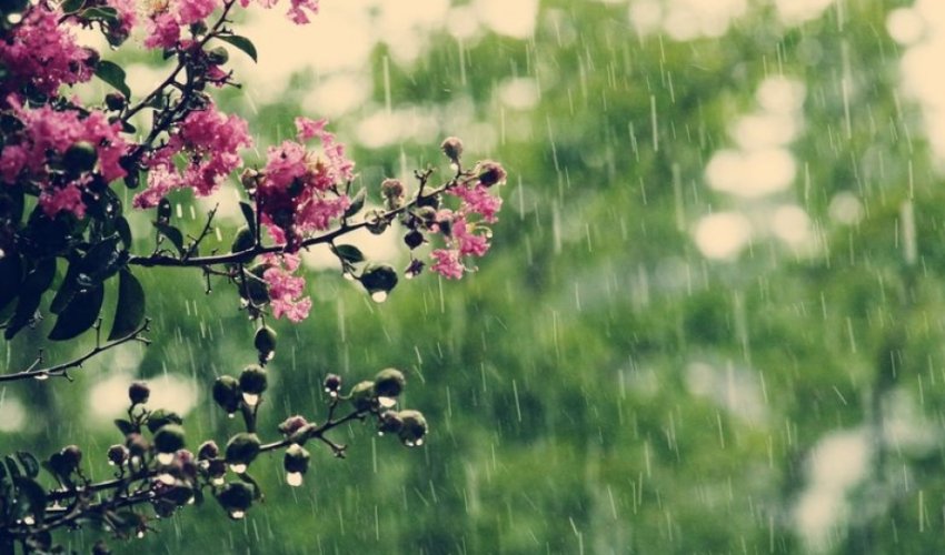 В Баку и на Абшероне снова ожидаются дожди, в районах пойдет снег