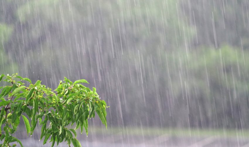 
Sabah bəzi yerlərdə yağış və dağlıq ərazilərdə qar yağacaq -XƏBƏRDARLIQ