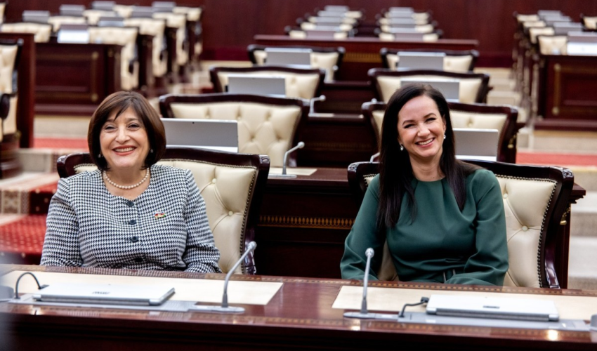 Milli Məclisin sədri Litva Baş naziri ilə görüşüb