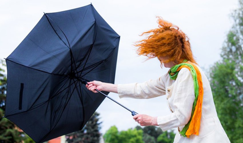 Синоптики предупреждают о сильном ветре