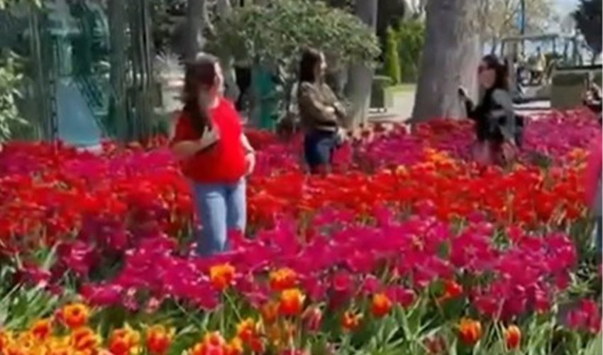 Bulvarda gülləri əzənlər polisə çağırılıb