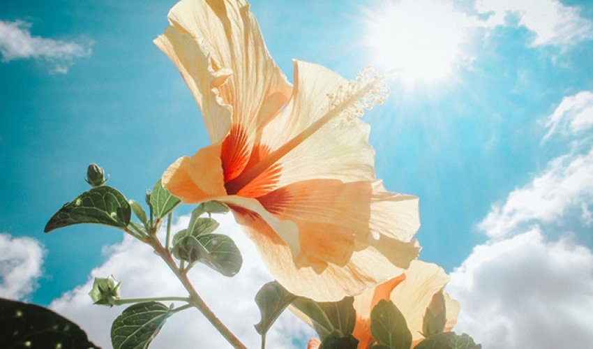 Sabahın hava proqnozu açıqlanıb