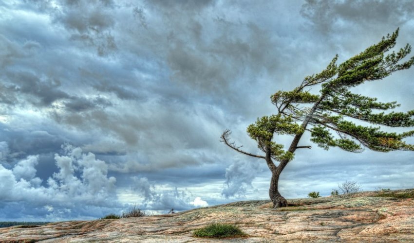 Azerbaijan weather service issues yellow, orange wind alerts