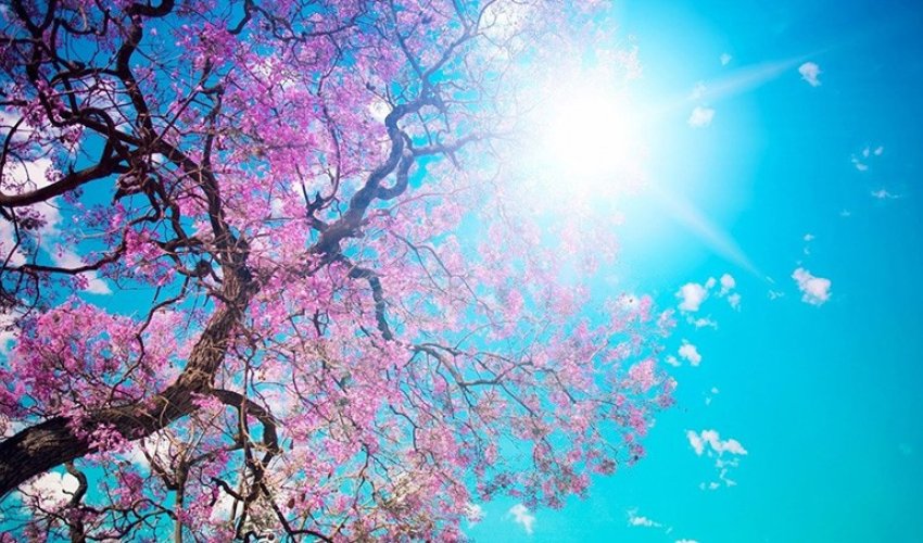 Sabahın hava proqnozu