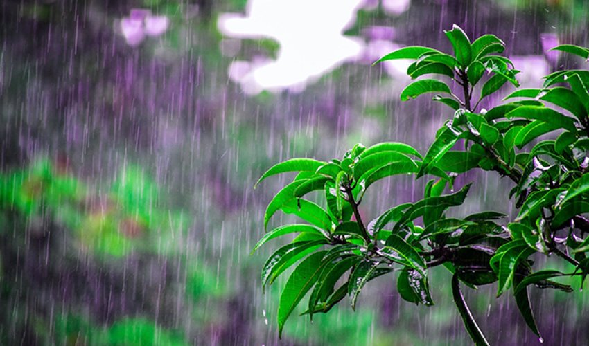 Güclü yağış yağacaq, temperatur kəskin enəcək - <span style=