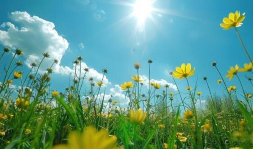 Sabah 24 dərəcə isti olacaq