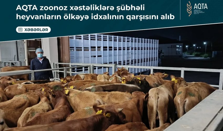 Zoonoz xəstəlik şübhəsi olan heyvanların Azərbaycana idxalının qarşısını alıb