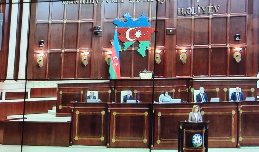 Bahar Muradova qadın siyasəti üzrə əsas prioritetləri açıqlayıb