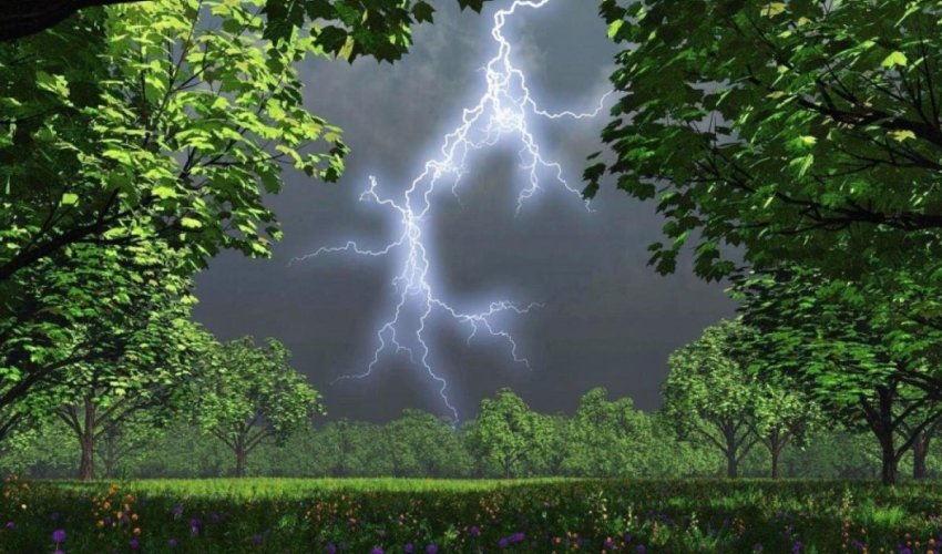 В ряде регионов Азербайджана прошли дожди с грозами
