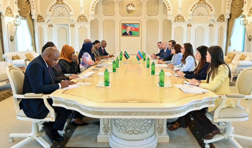 Sahibə Qafarova Mozambik Respublika Assambleyasının sədri ilə görüşüb