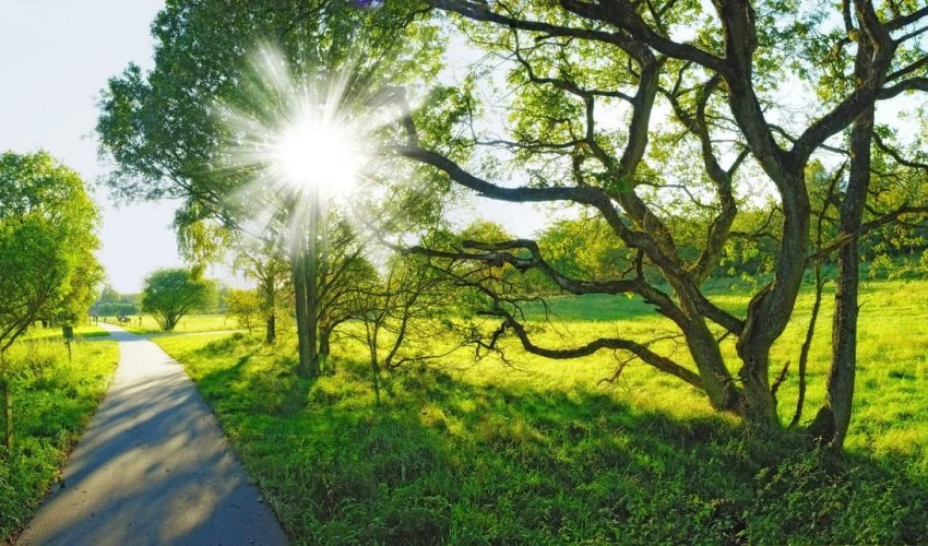 Sabahın hava proqnozu açıqlanıb