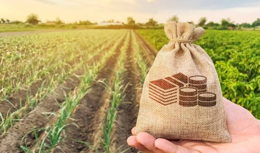 Azərbaycanda kənd təsərrüfatı istehsalı ilk yarımildə 2,2% artıb