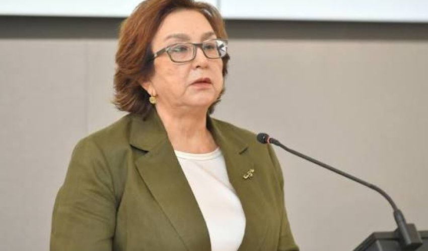 Magistraturaya qəbul olunanlar avqustun 3-dən qeydiyyatdan keçə biləcəklər &ndash; DİM