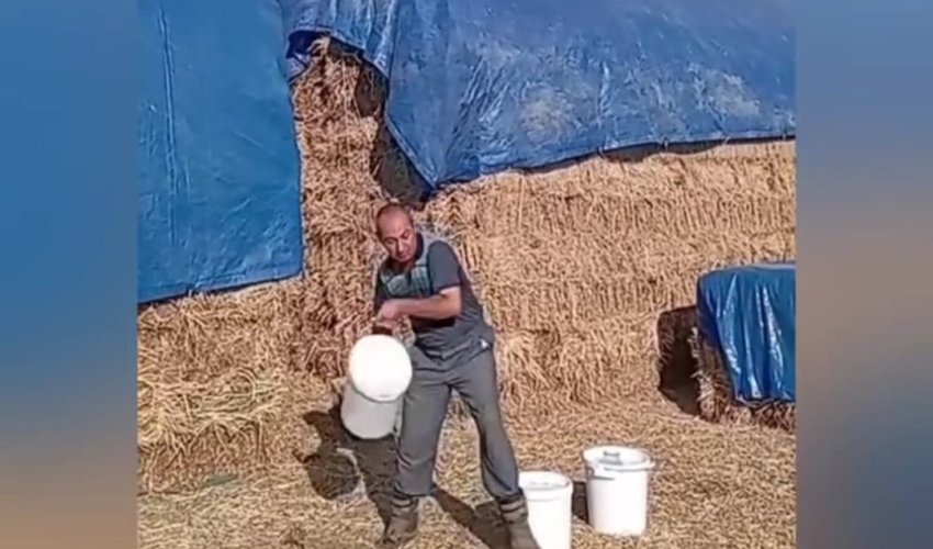 Fermer südünü yerə töküb nazirə səsləndi - video