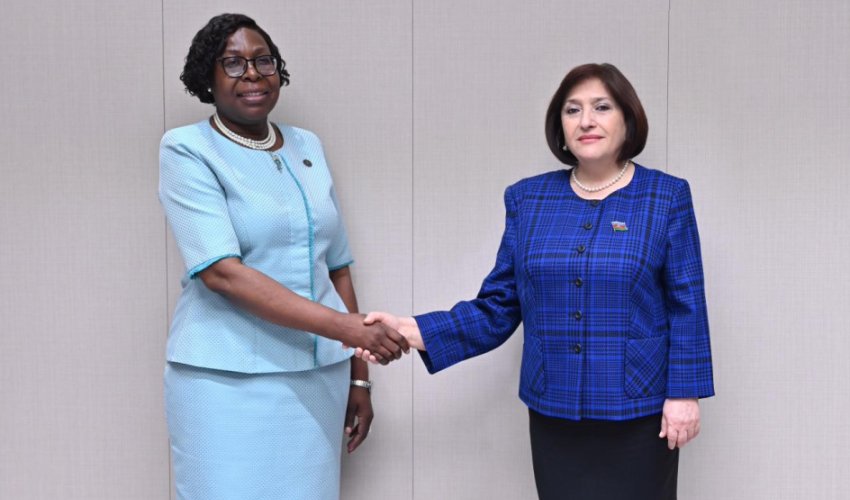 Milli Məclisin sədri Mozambikin Baş naziri ilə görüşüb