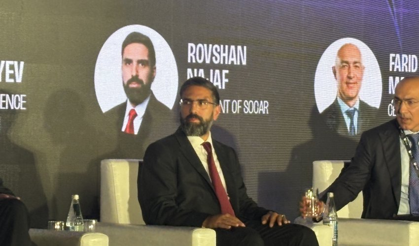 Rövşən Nəcəf: Gələcəyin əsas bacarığı uyğunlaşma qabiliyyəti olacaq