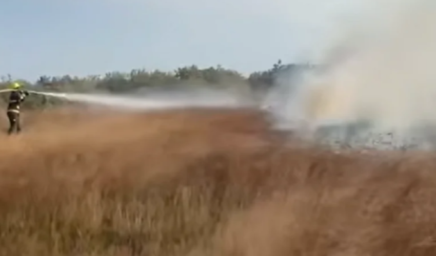 На автомагистрали Баку-Алят-Астара произошел пожар