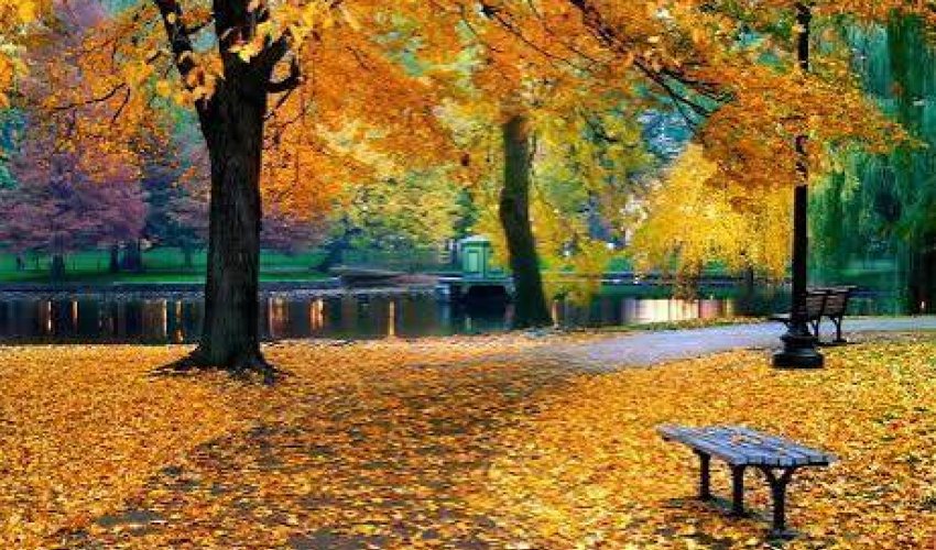Oktyabrda havanın orta aylıq temperaturu normadan bir qədər yüksək olacaq
