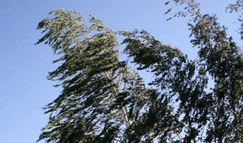 Küləkli hava şəraiti ilə bağlı sarı və narıncı xəbərdarlıq verilib