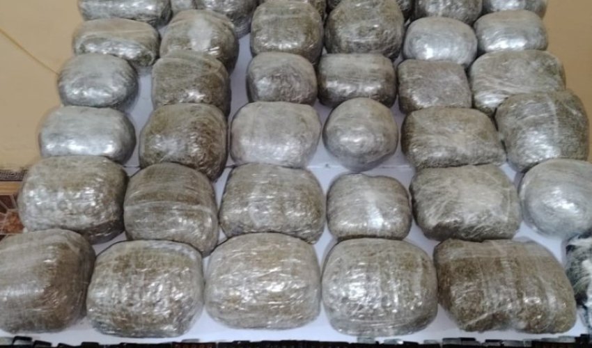 Illicit Drugs Worth AZN 246 Million Seized in Azerbaijan Across Nine Months