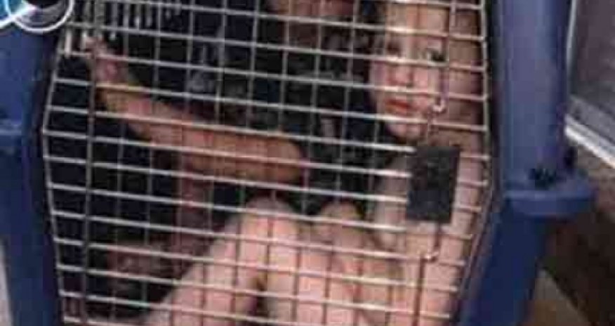 Uşaq pornosu istehsal edən iri şəbəkə ifşa edildi