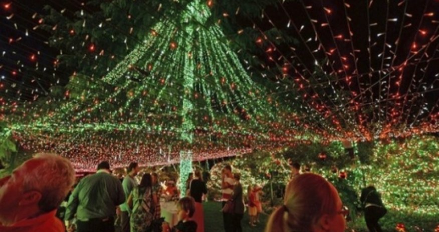 Рекордное количество рождественских фонариков -ВИДЕО