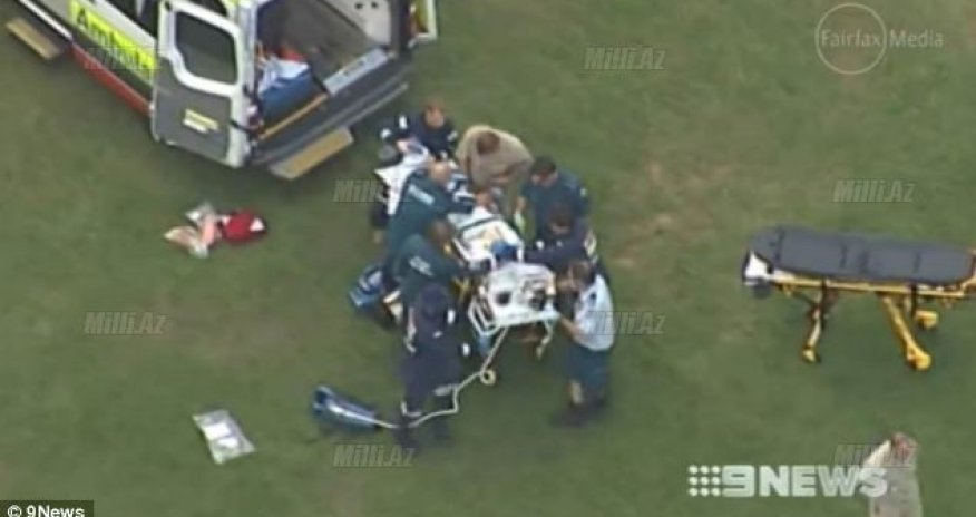 Тигр напал на смотрителя зоопаркаВИДЕО