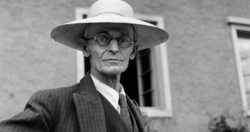 Herman Hesse: Meşə adamı - E-kitab