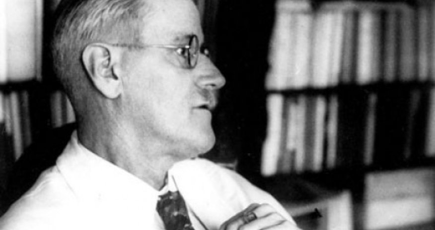 Ceyms Coys: "Evelin" - E-kitab