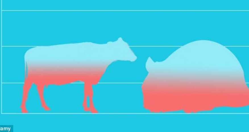 Nəhəng və qeyri adi canlılar Yeri işğal edəcək - Alimlərdən Xəbərdarlıq