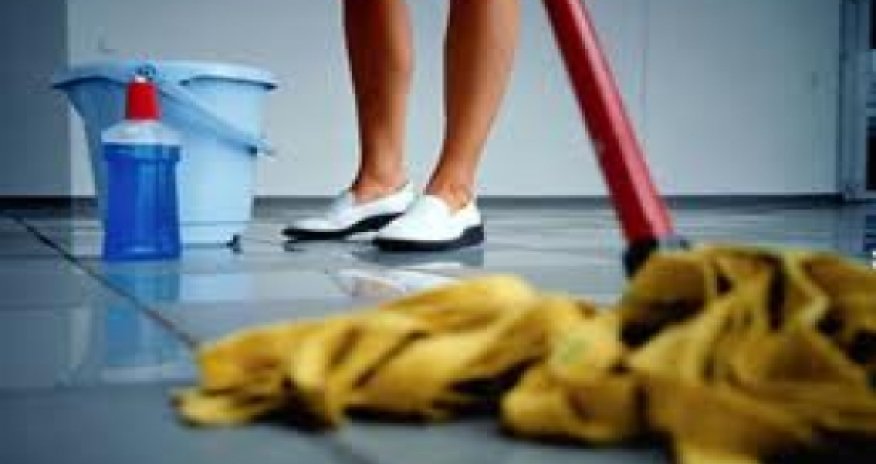 Министр подал в отставку из-за уборщицы