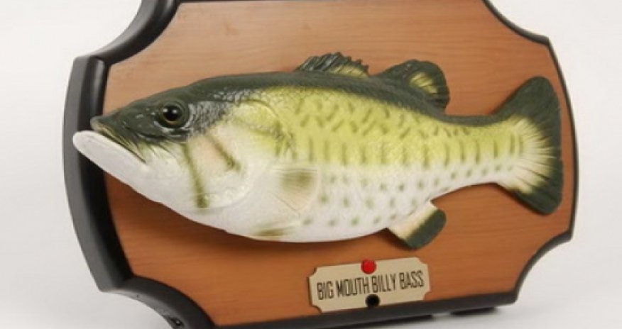 Поющая рыба спугнула грабителя  -ФОТО+ВИДЕО