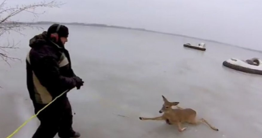 Несколько слов о простой человечности –ВИДЕО