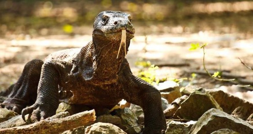 Самые опасные места для туристов –ФОТО