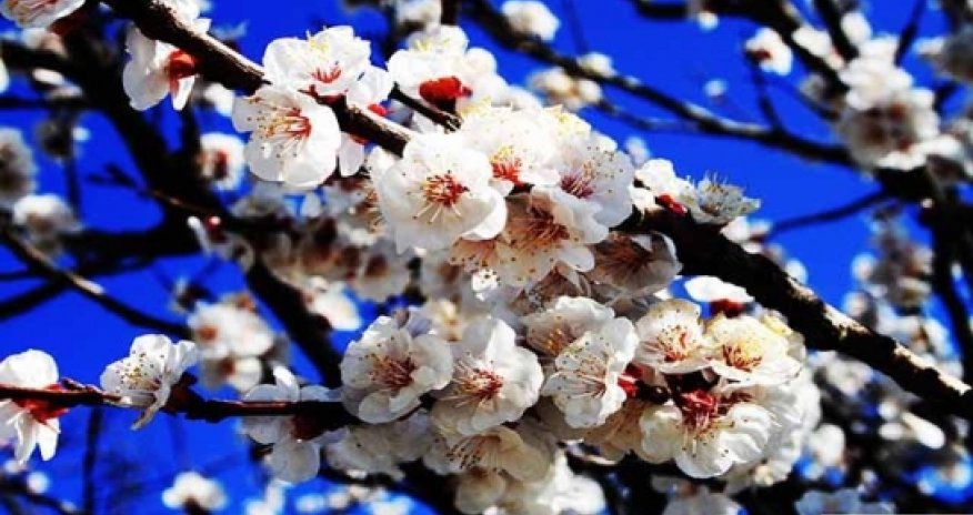 Весна – время пробуждения природы - ФОТО