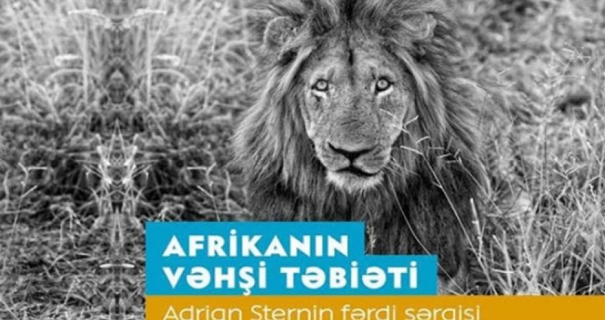 Bakıda tanınmış fotoqraf Adrian Sternin fərdi sərgisi açılacaq