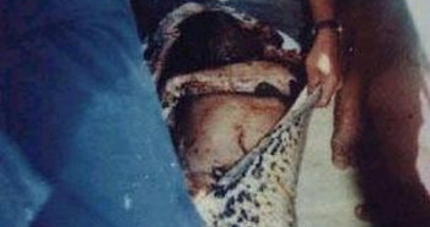 Питон съел человека -ФОТО