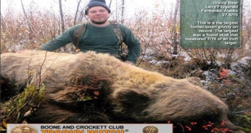 The largest bear EVER killed