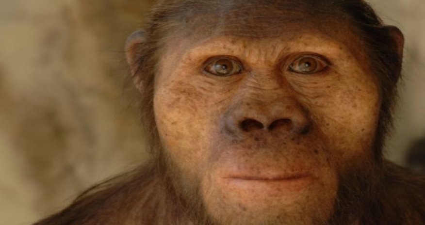 Palaeoartist brings human evolution to life with amazingly realistic sculptures