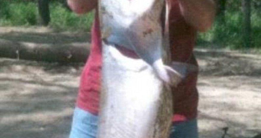 Catfish angler catches 'dinosaur' turtle weighing 100LBS - PHOTO