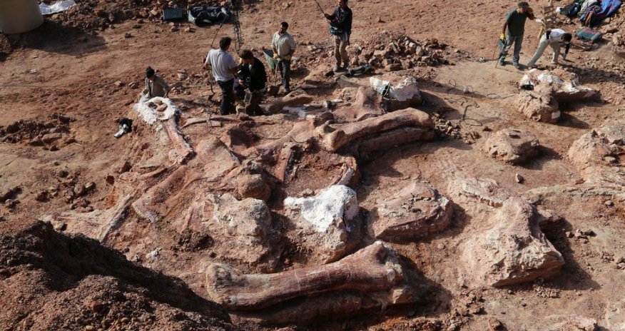 'Biggest dinosaur ever' discovered - PHOTO