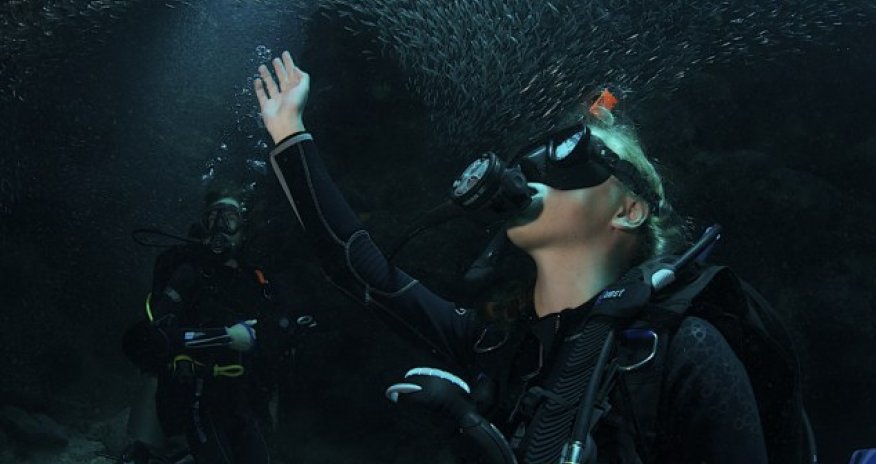 Incredible images capture thousands of silverside fish - PHOTO