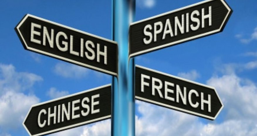 Learning second language 'slows brain ageing'