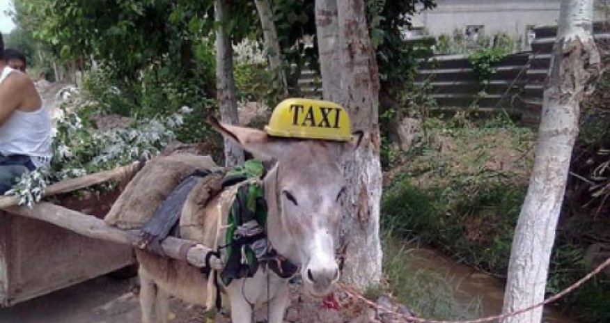 Azərbaycanda eşşəkdən taksi kimi istifadə edirlər - FOTO