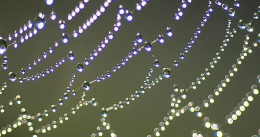 Do you need a social media presence to find a job?