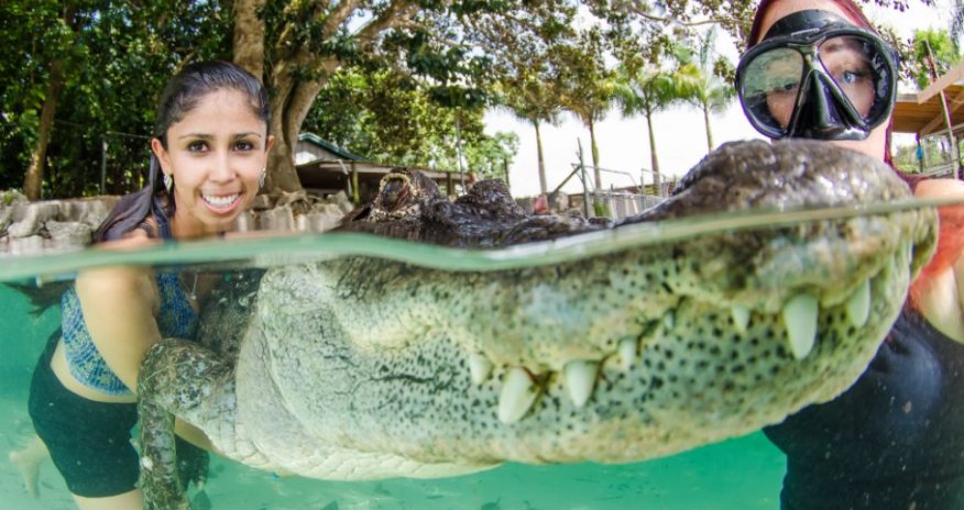 Posing for snaps - PHOTO+VIDEO