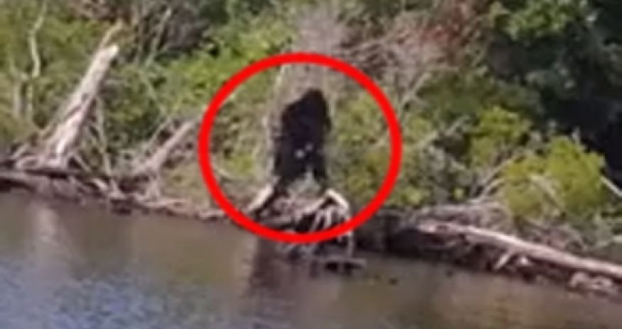 Is this the clearest photo of Bigfoot yet? - VIDEO