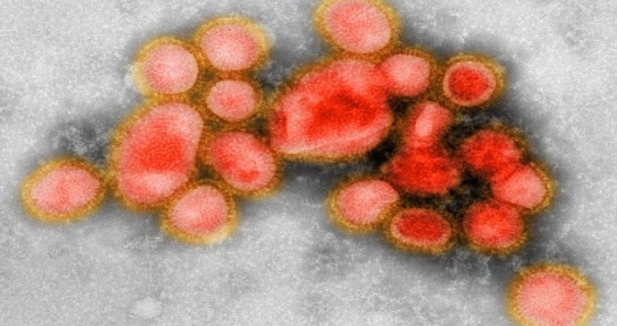 Scientist recreates pandemic flu virus that killed 500,000 people