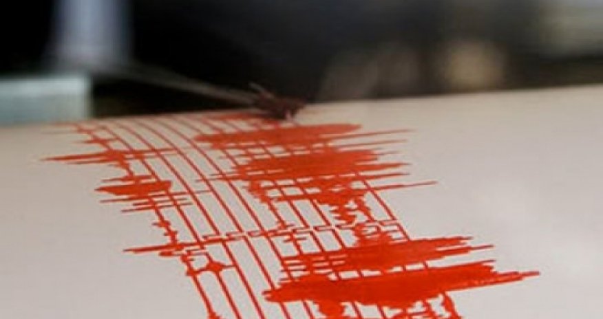 Meksikada 7,1 bal gücündə zəlzələ, ölənlər var